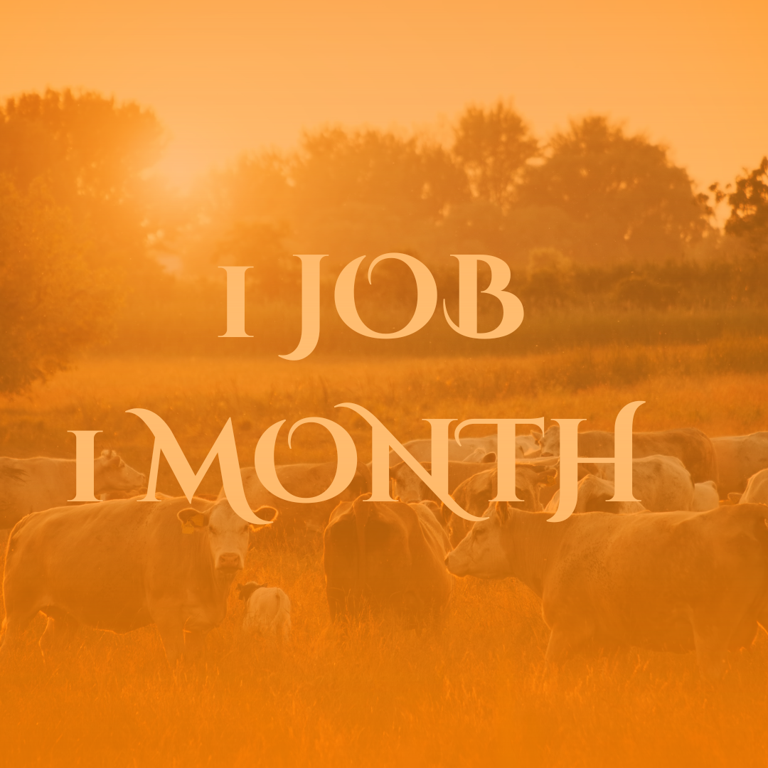 1 Ad - 1 Month Listing