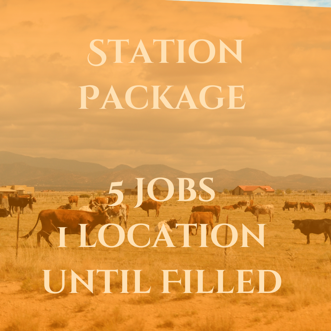 One Station Multiple Jobs