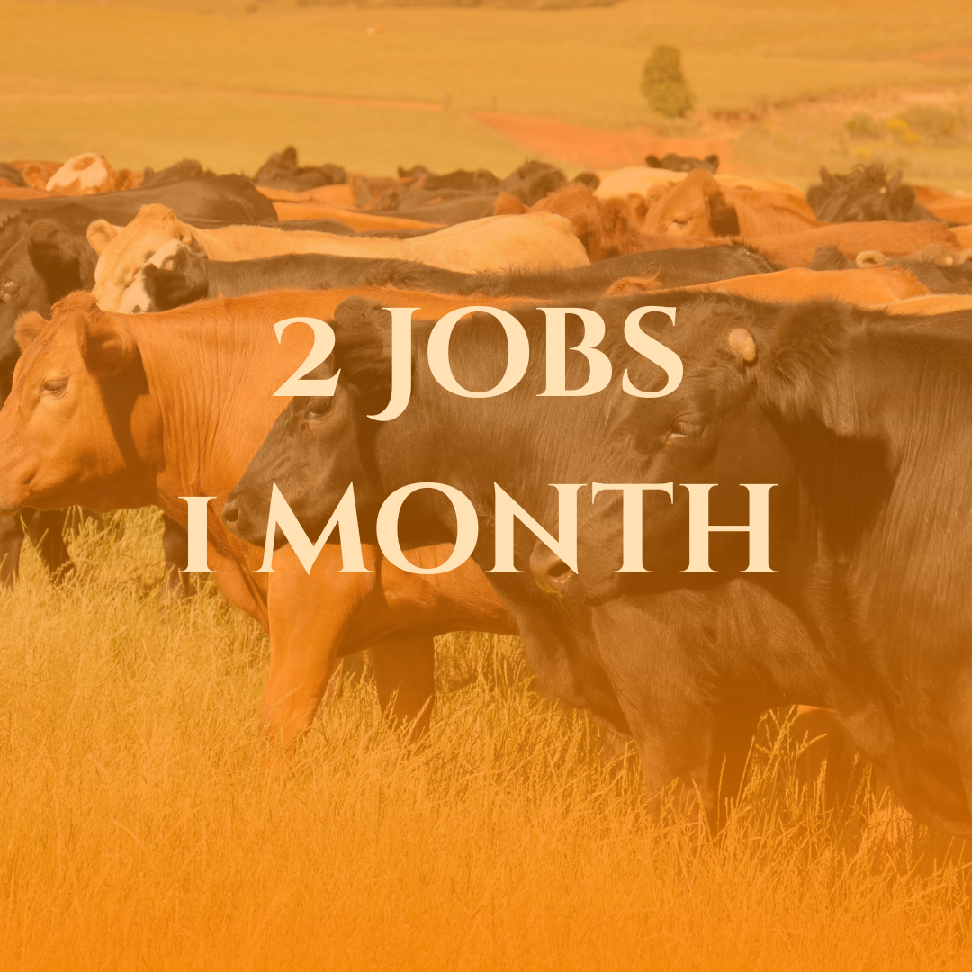 Stay A Little Longer 1 Job 2 Months