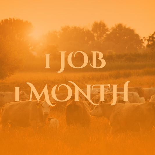 1 Ad - 1 Month Listing