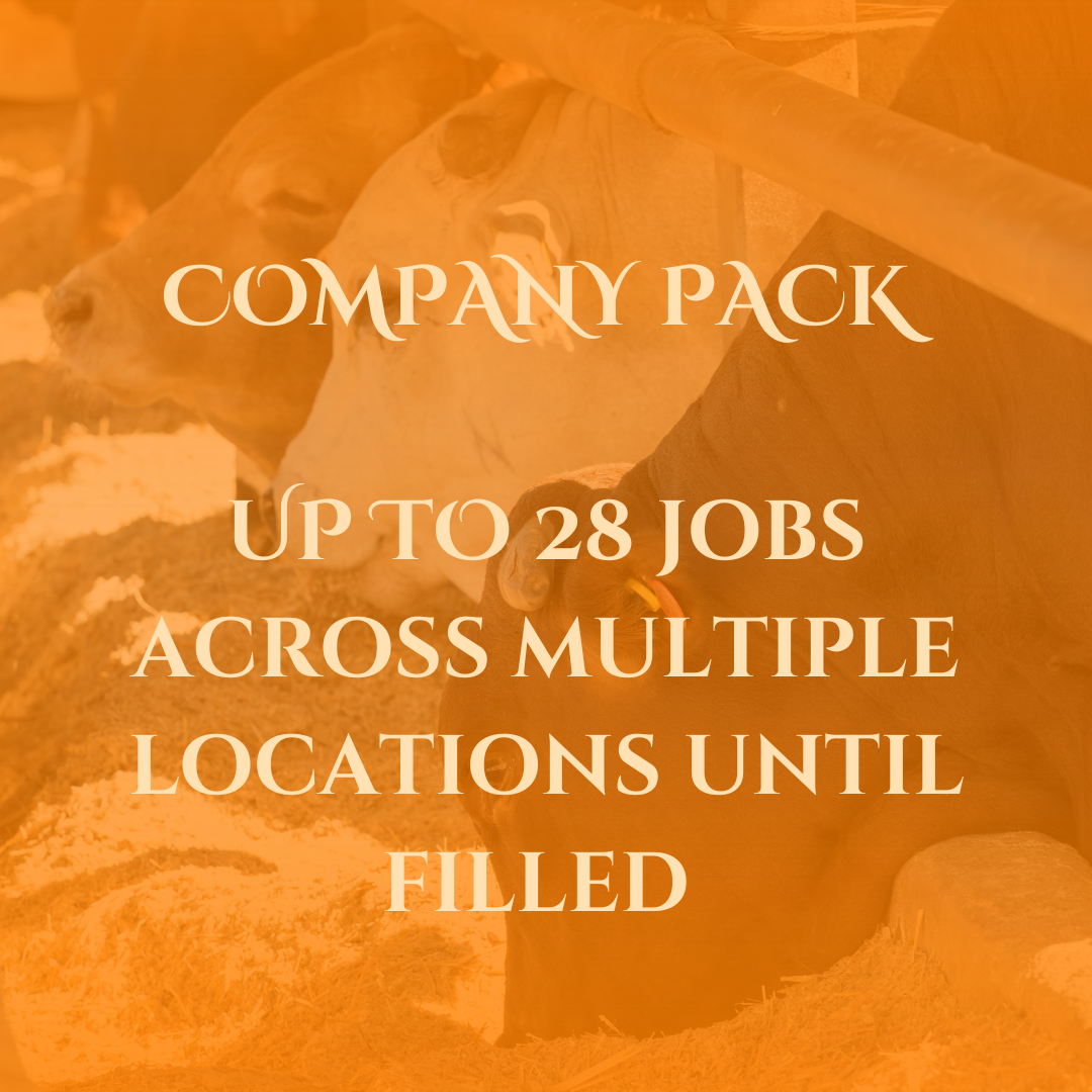 COMPANY PACK BULK JOB AD’s